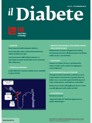 Il diabete. Vol. 27/4