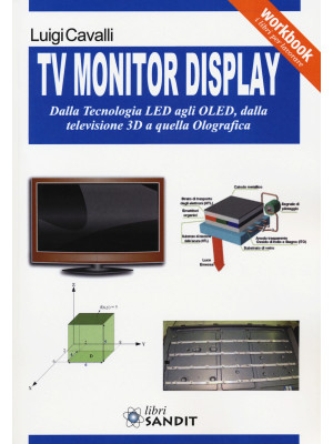 TV monitor display. Dalla t...