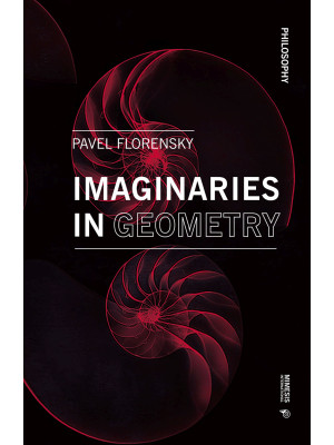Imaginaries in geometry