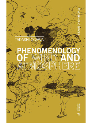 Phenomenology of wind and a...