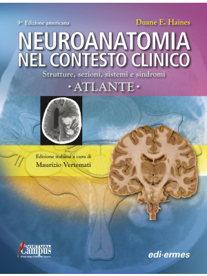 Neuroanatomia nel contesto ...