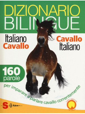 Dizionario bilingue italian...