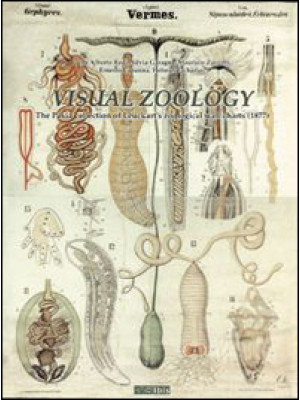Visual zoology. The Pavia c...