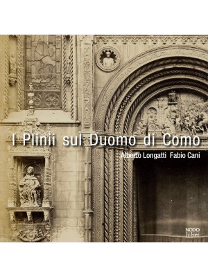 I Plinii sul Duomo di Como....