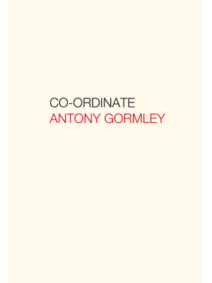 Antony Gormley. Co-ordinate...