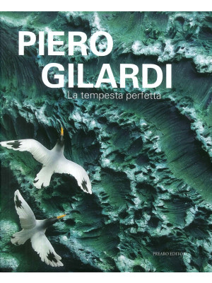Piero Gilardi. La tempesta ...
