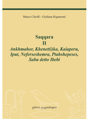 Saqqara. Vol. 2: Ankhmahor,...