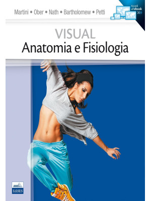 Visual anatomia e fisiologia