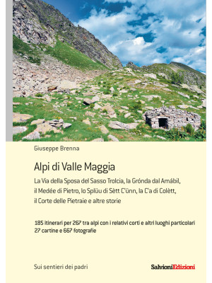 Alpi di valle Maggia