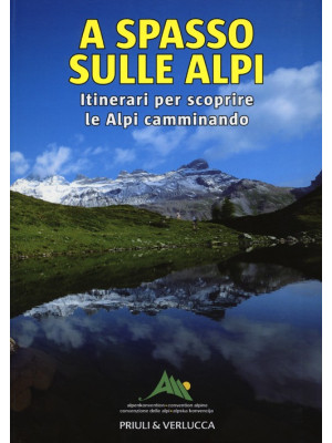 A spasso sulle Alpi. Itiner...