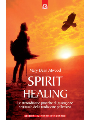 Spirit healing. Le straordi...