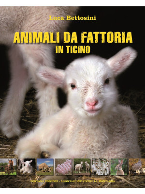 Animali da fattoria in Ticino