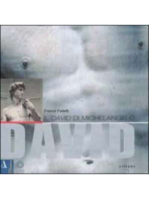 Il David di Michelangelo. E...