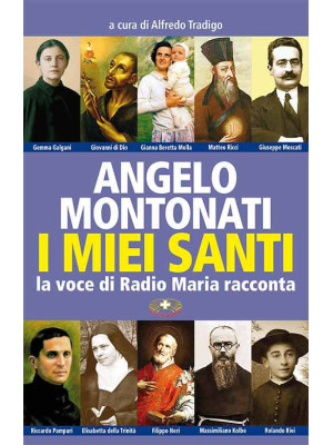 I santi di Angelo Montonati...