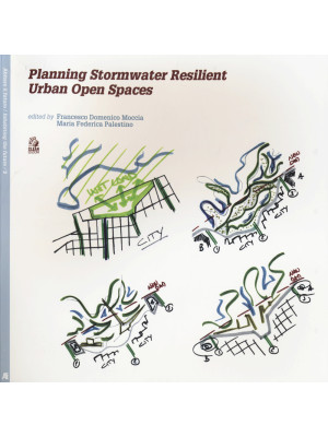 Planning stormwater resilie...