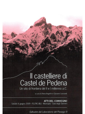 Il castelliere di Castel de...