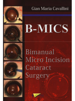 B-MICS Bimanual micro incis...