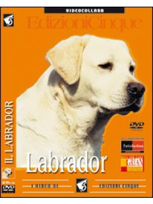 Labrador retriever. DVD