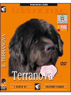 Terranova. DVD