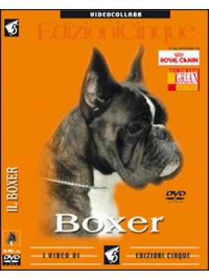 Boxer. DVD