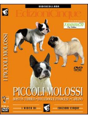 Molossi (i piccoli). DVD