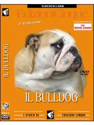 Bulldog inglese. DVD