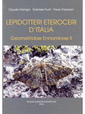 Lepidotteri eteroceri d'Ita...