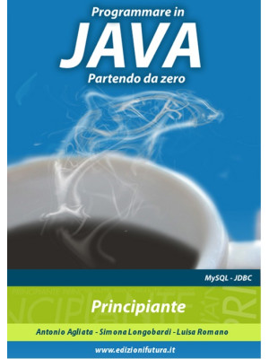 Programmare in Java partend...