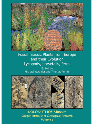Fossil triassic plants from...