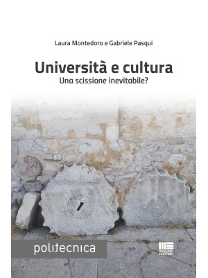 Università e cultura