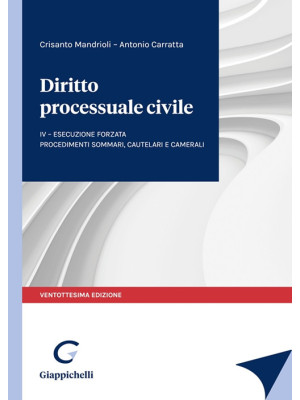 Diritto processuale civile. Vol. 4: Esecuzione forzata. Procedimenti sommari, cautelari e camerali