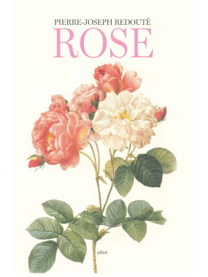 Rose. Ediz. illustrata