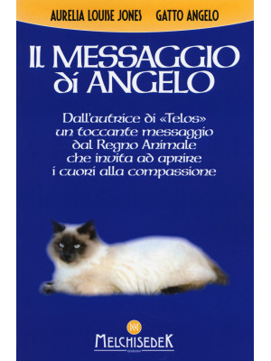 Il messaggio di Angelo