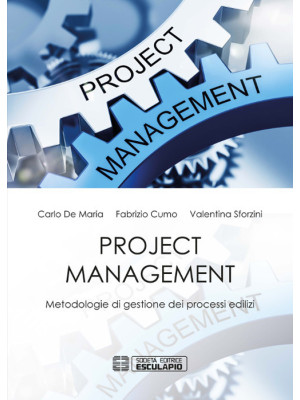 Project management. Metodol...