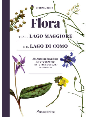 Flora tra il Lago Maggiore e il Lago di Como. Atlante corologico e fotografico di tutte le specie (spermatofite). Ediz. illustrata