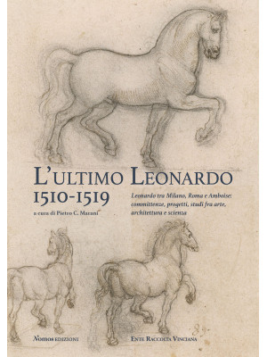 L'ultimo Leonardo, 1510-151...