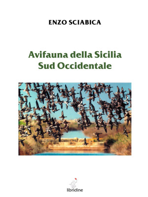 Avifauna della Sicilia sud ...