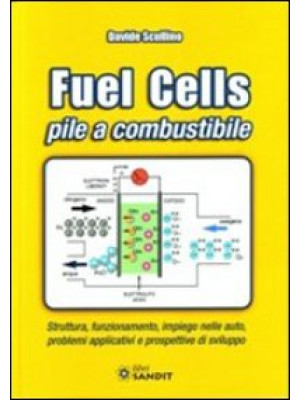 Fuel cells. Pile a combusti...