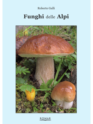 Funghi delle Alpi