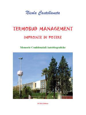 Termosud management. Impron...