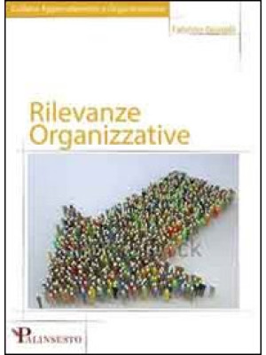 Rilevanze organizzative