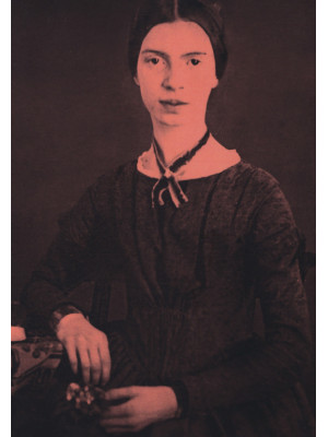 Emily Dickinson in immagini...