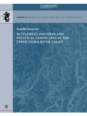 Settlement patterns and pol...