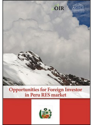 Opportunities for foreign i...
