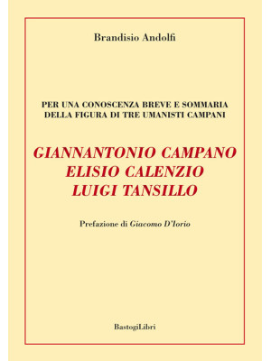 Giannantonio Campano, Elisi...