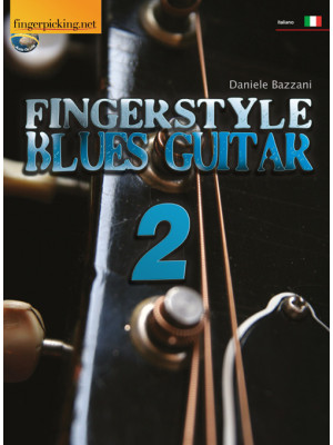 Fingerstyle blues guitar. V...