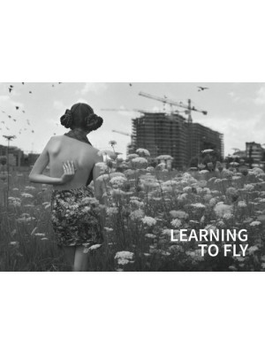 Learning to fly