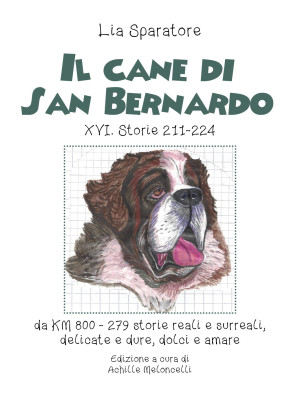 Il cane di San Bernardo XVI...