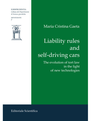 Liability rules and self-dr...