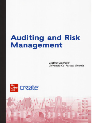 Auditing and risk managemen...